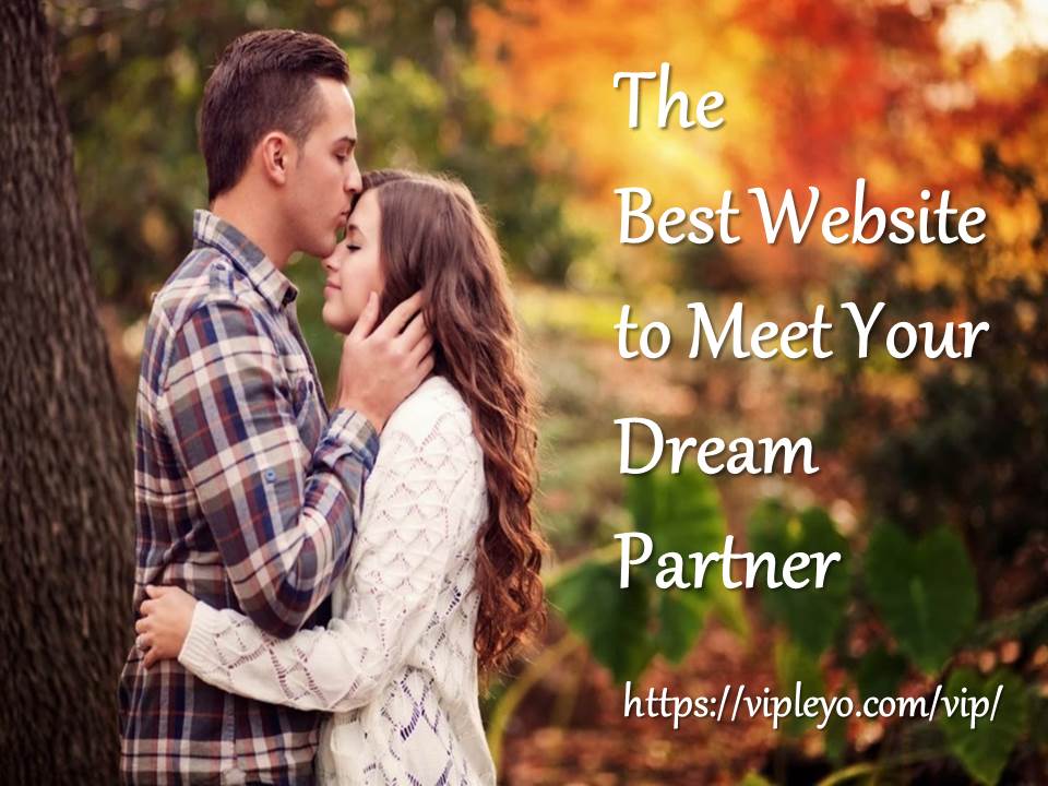 The Best Website to Meet Your Dream Partner Blank Meme Template