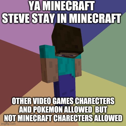 Minecraft Steve | YA MINECRAFT STEVE STAY IN MINECRAFT OTHER VIDEO GAMES CHARECTERS AND POKEMON ALLOWED  BUT NOT MINECRAFT CHARECTERS ALLOWED | image tagged in minecraft steve | made w/ Imgflip meme maker