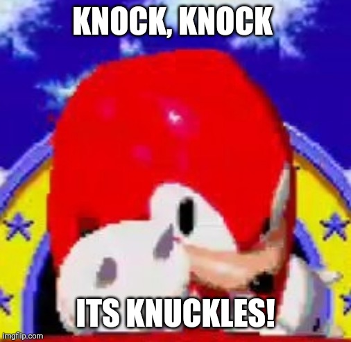 KNOCK, KNOCK; ITS KNUCKLES! | image tagged in memes,funny,sonic,knuckles | made w/ Imgflip meme maker