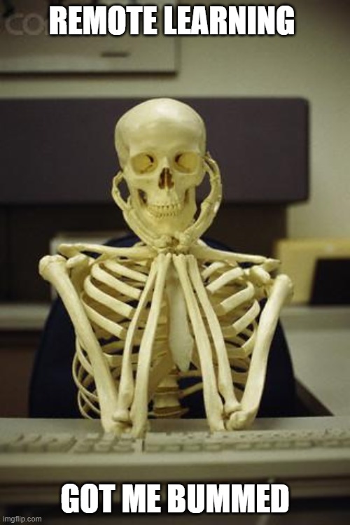 Waiting Skeleton | REMOTE LEARNING; GOT ME BUMMED | image tagged in waiting skeleton | made w/ Imgflip meme maker