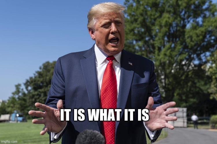 The trump | IT IS WHAT IT IS | image tagged in the trump | made w/ Imgflip meme maker