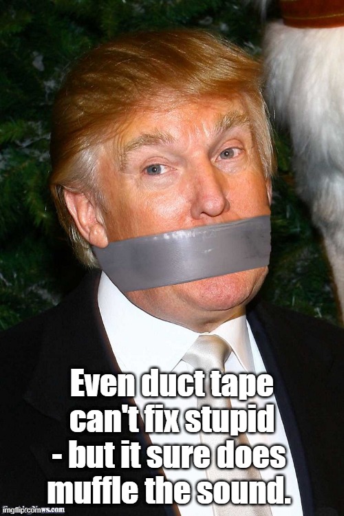  Even duct tape can't fix stupid - but it sure does 
muffle the sound. | made w/ Imgflip meme maker