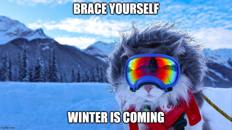 BRACE YOURSELF; WINTER IS COMING | made w/ Imgflip meme maker