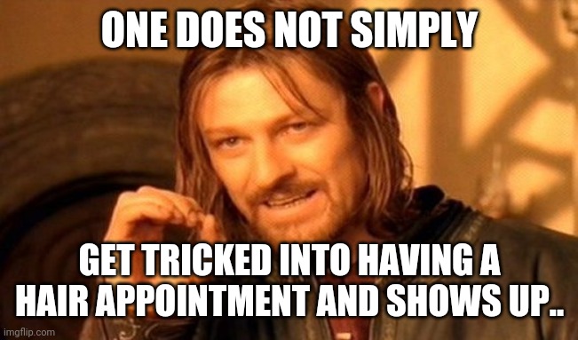 One Does Not Simply Meme | ONE DOES NOT SIMPLY GET TRICKED INTO HAVING A HAIR APPOINTMENT AND SHOWS UP.. | image tagged in memes,one does not simply | made w/ Imgflip meme maker