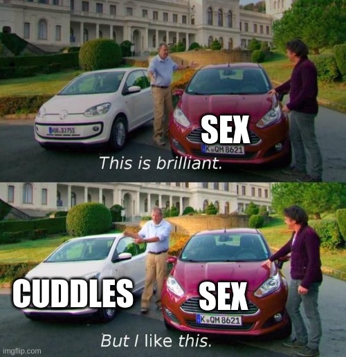 This Is Brilliant But I Like This | SEX; CUDDLES; SEX | image tagged in this is brilliant but i like this | made w/ Imgflip meme maker