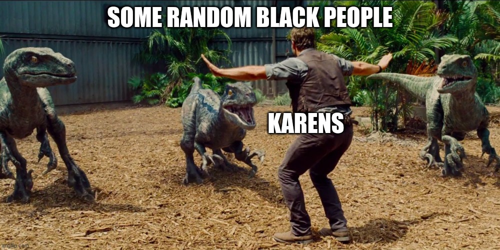 Jurassic park raptor | SOME RANDOM BLACK PEOPLE; KARENS | image tagged in jurassic park raptor,karen | made w/ Imgflip meme maker