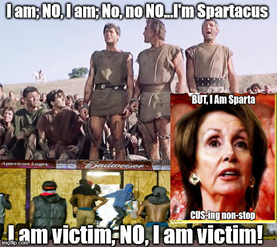 Pelosi, Victim.  I Am Spartacus | image tagged in victim,the blues,whine,offended,election | made w/ Imgflip meme maker