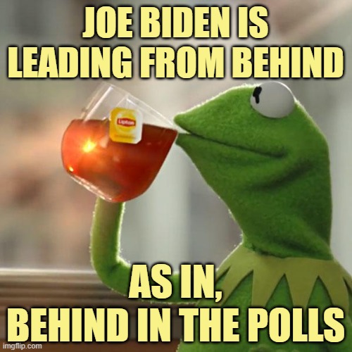 But That's None Of My Business Meme | JOE BIDEN IS
LEADING FROM BEHIND AS IN,
BEHIND IN THE POLLS | image tagged in memes,but that's none of my business,kermit the frog | made w/ Imgflip meme maker