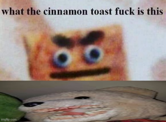 0_0 | image tagged in what the cinnamon toast f is this | made w/ Imgflip meme maker