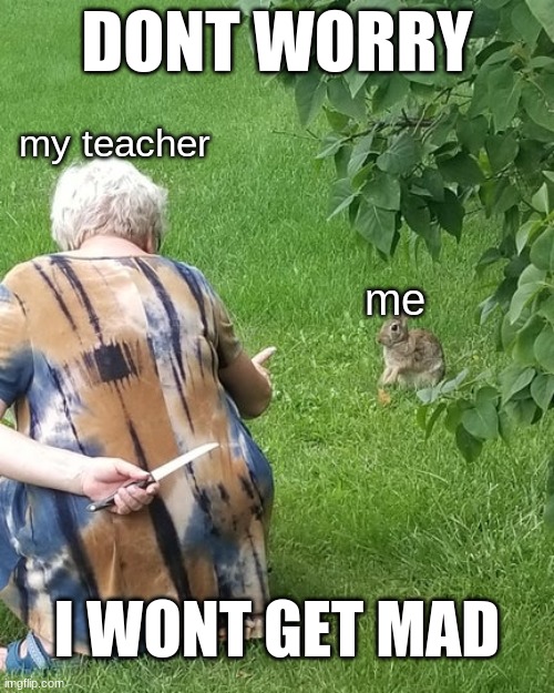 bruh. | DONT WORRY; my teacher; me; I WONT GET MAD | image tagged in grandma hiding knife rabbit | made w/ Imgflip meme maker
