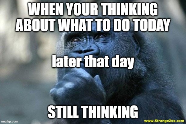 Deep Thoughts | WHEN YOUR THINKING ABOUT WHAT TO DO TODAY; later that day; STILL THINKING | image tagged in deep thoughts | made w/ Imgflip meme maker