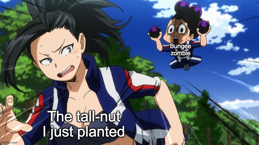 Pvz meme again | Bungee zombie; The tall-nut I just planted | image tagged in no tags this time | made w/ Imgflip meme maker