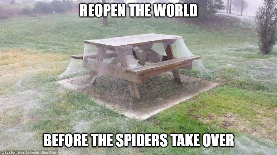 Lonely Park - Reopen The World! | REOPEN THE WORLD; BEFORE THE SPIDERS TAKE OVER | image tagged in lonely park | made w/ Imgflip meme maker