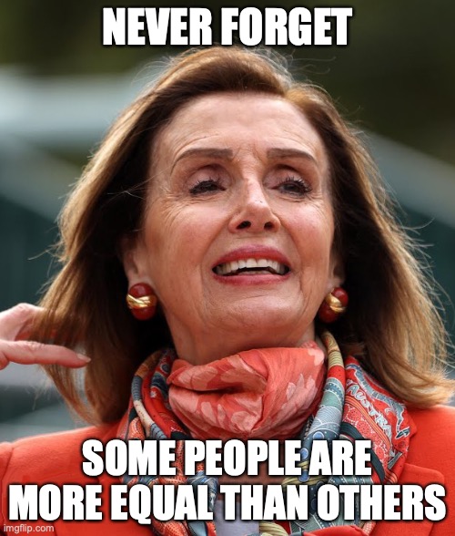 NEVER FORGET; SOME PEOPLE ARE MORE EQUAL THAN OTHERS | image tagged in george orwell,pelosi,nancy pelosi,dnc,congress | made w/ Imgflip meme maker
