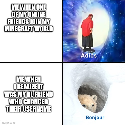 bonjour | ME WHEN ONE OF MY ONLINE FRIENDS JOIN MY MINECRAFT WORLD; ME WHEN I REALIZE IT WAS MY RL FRIEND WHO CHANGED THEIR USERNAME | image tagged in adios bonjour | made w/ Imgflip meme maker