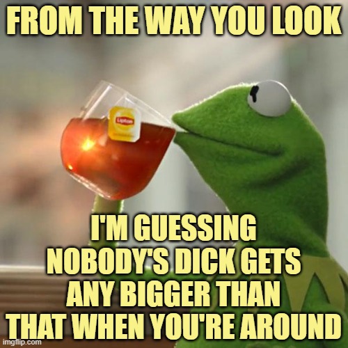 But That's None Of My Business Meme | FROM THE WAY YOU LOOK I'M GUESSING NOBODY'S DICK GETS ANY BIGGER THAN THAT WHEN YOU'RE AROUND | image tagged in memes,but that's none of my business,kermit the frog | made w/ Imgflip meme maker