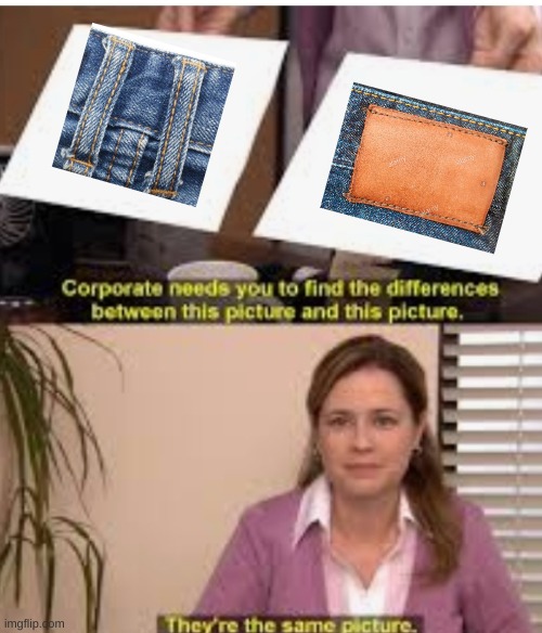 Its the same pic | image tagged in its the same pic | made w/ Imgflip meme maker