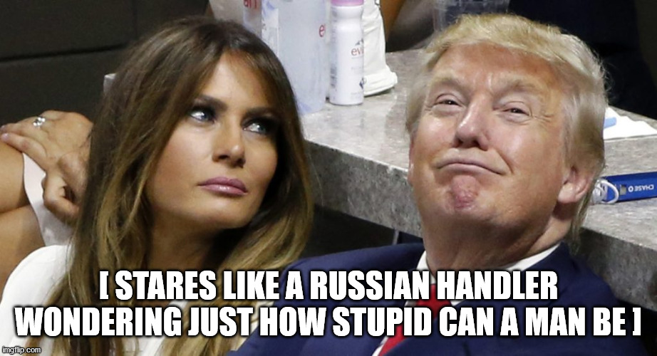 [ STARES LIKE A RUSSIAN HANDLER WONDERING JUST HOW STUPID CAN A MAN BE ] | image tagged in memes putinsasset | made w/ Imgflip meme maker