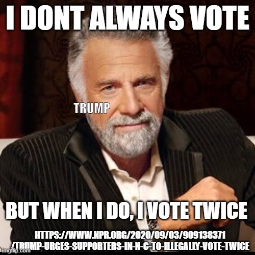 comments for article link if you want | I DONT ALWAYS VOTE; TRUMP; BUT WHEN I DO, I VOTE TWICE; HTTPS://WWW.NPR.ORG/2020/09/03/909138371 /TRUMP-URGES-SUPPORTERS-IN-N-C-TO-ILLEGALLY-VOTE-TWICE | image tagged in i don't always vote,vote,voting,donald trump,election,fail | made w/ Imgflip meme maker