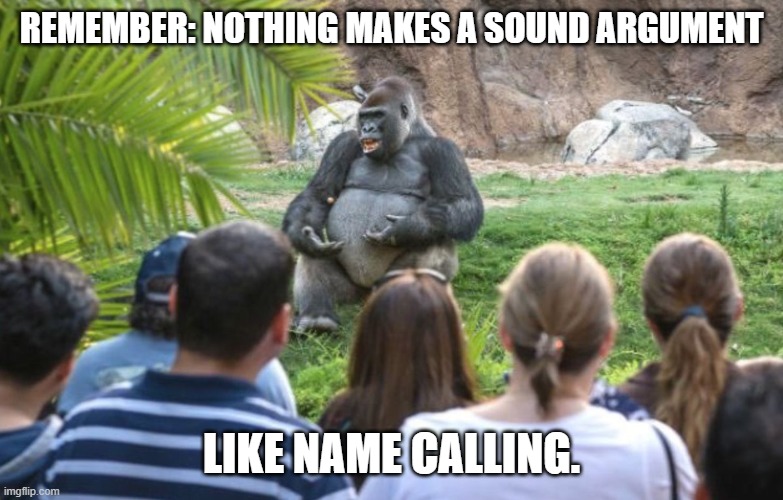 ted talk gorilla | REMEMBER: NOTHING MAKES A SOUND ARGUMENT LIKE NAME CALLING. | image tagged in ted talk gorilla | made w/ Imgflip meme maker