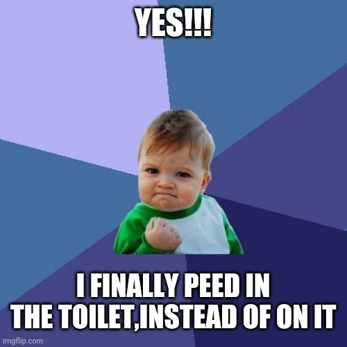 Success Kid Meme | YES!!! I FINALLY PEED IN THE TOILET,INSTEAD OF ON IT | image tagged in memes,success kid | made w/ Imgflip meme maker