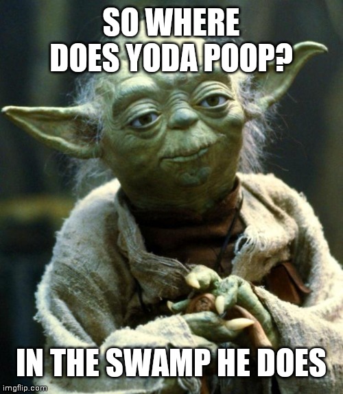 Star Wars Yoda | SO WHERE DOES YODA POOP? IN THE SWAMP HE DOES | image tagged in memes,star wars yoda | made w/ Imgflip meme maker