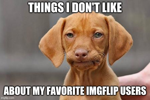 DISCLAIMER: Don't take anything I say in the comments as an act of hate or anything too negative. | THINGS I DON'T LIKE; ABOUT MY FAVORITE IMGFLIP USERS | image tagged in dissapointed puppy | made w/ Imgflip meme maker