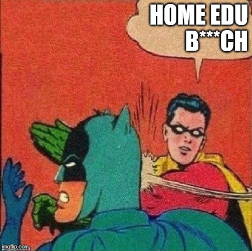 Home education rulez | HOME EDU
B***CH | image tagged in home,education | made w/ Imgflip meme maker