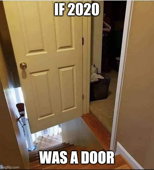 IF 2020; WAS A DOOR | image tagged in 2020,door | made w/ Imgflip meme maker