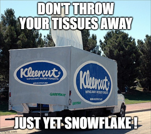 Tissue | DON'T THROW YOUR TISSUES AWAY JUST YET SNOWFLAKE ! | image tagged in tissue | made w/ Imgflip meme maker