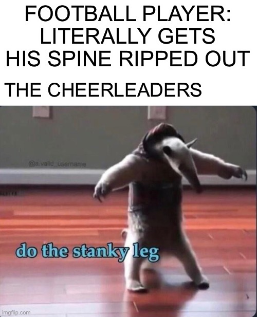 Do the stanky leg | FOOTBALL PLAYER: LITERALLY GETS HIS SPINE RIPPED OUT; THE CHEERLEADERS | image tagged in memes | made w/ Imgflip meme maker