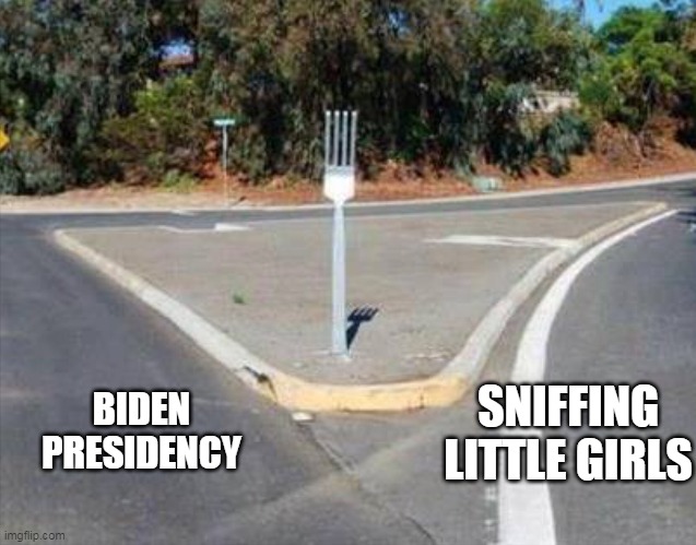 BIDEN 2020 | SNIFFING LITTLE GIRLS; BIDEN PRESIDENCY | image tagged in fork in the road | made w/ Imgflip meme maker