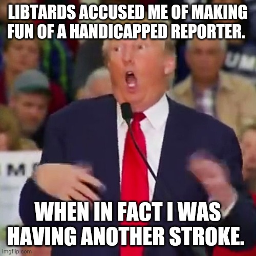 Donny Stroke bullied by libtards | LIBTARDS ACCUSED ME OF MAKING FUN OF A HANDICAPPED REPORTER. WHEN IN FACT I WAS HAVING ANOTHER STROKE. | image tagged in donald trump,trump supporters,maga,election 2020,conservatives,blm | made w/ Imgflip meme maker