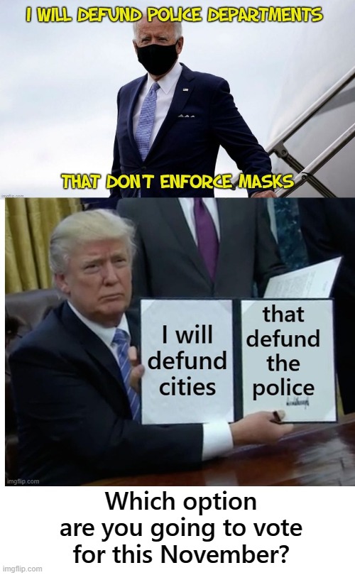 The choice is obvious | Which option are you going to vote for this November? | image tagged in donald trump,joe biden | made w/ Imgflip meme maker
