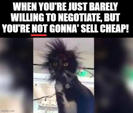 barely willing to negotiate | WHEN YOU'RE JUST BARELY WILLING TO NEGOTIATE, BUT YOU'RE NOT GONNA' SELL CHEAP! | image tagged in barely willing to negotiate | made w/ Imgflip meme maker