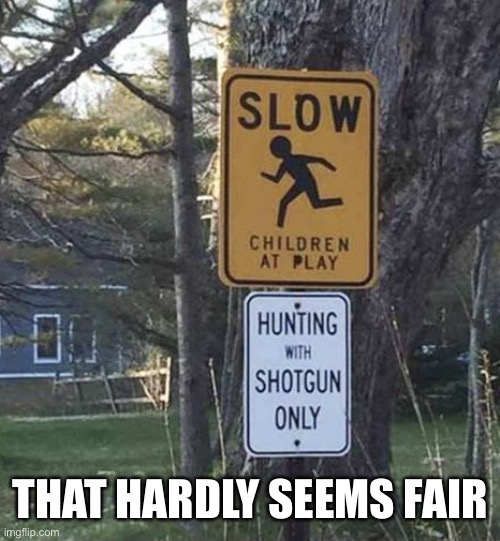 Lead shot or steel shot? | THAT HARDLY SEEMS FAIR | image tagged in slow children,play,sign,hunting,shotgun,memes | made w/ Imgflip meme maker