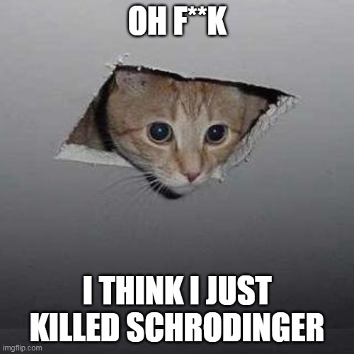 Schrodinger's Demise | OH F**K; I THINK I JUST KILLED SCHRODINGER | image tagged in memes,ceiling cat | made w/ Imgflip meme maker