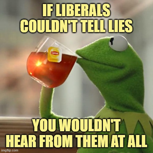 But That's None Of My Business Meme | IF LIBERALS COULDN'T TELL LIES YOU WOULDN'T HEAR FROM THEM AT ALL | image tagged in memes,but that's none of my business,kermit the frog | made w/ Imgflip meme maker