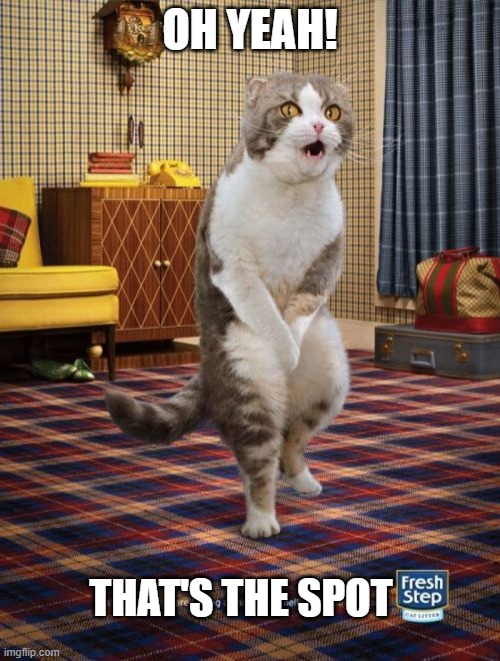 Gotta Go Cat | OH YEAH! THAT'S THE SPOT | image tagged in memes,gotta go cat,itch | made w/ Imgflip meme maker