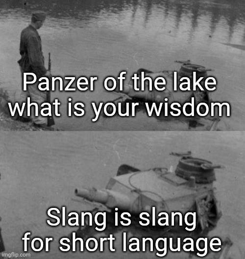 Panzer of the lake | Panzer of the lake what is your wisdom; Slang is slang for short language | image tagged in panzer of the lake | made w/ Imgflip meme maker