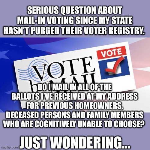 Question about mail-in voting | SERIOUS QUESTION ABOUT MAIL-IN VOTING SINCE MY STATE HASN’T PURGED THEIR VOTER REGISTRY. DO I MAIL IN ALL OF THE BALLOTS I’VE RECEIVED AT MY ADDRESS FOR PREVIOUS HOMEOWNERS, DECEASED PERSONS AND FAMILY MEMBERS WHO ARE COGNITIVELY UNABLE TO CHOOSE? JUST WONDERING... | image tagged in mail-in voting,2020 elections,mail fraud,election fraud | made w/ Imgflip meme maker