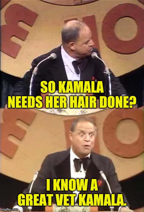 Don Rickles Roast | SO KAMALA NEEDS HER HAIR DONE? I KNOW A GREAT VET KAMALA. | image tagged in don rickles roast | made w/ Imgflip meme maker