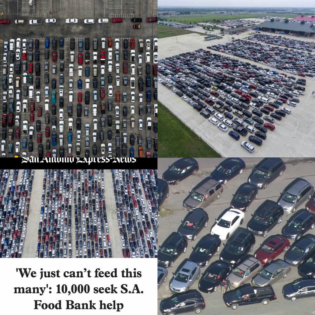 High Quality Cars at food banks Blank Meme Template