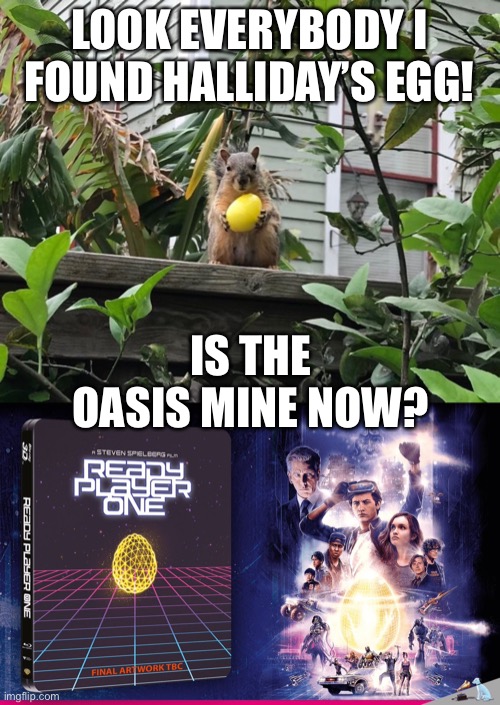 Halliday’s Easter Egg | LOOK EVERYBODY I FOUND HALLIDAY’S EGG! IS THE OASIS MINE NOW? | image tagged in funny memes,squirrels,ready player one | made w/ Imgflip meme maker