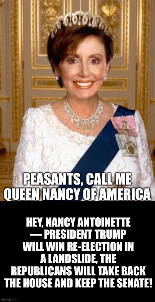 Democrats — you’re toast! | HEY, NANCY ANTOINETTE — PRESIDENT TRUMP WILL WIN RE-ELECTION IN A LANDSLIDE, THE REPUBLICANS WILL TAKE BACK THE HOUSE AND KEEP THE SENATE! | image tagged in nancy pelosi,nancy pelosi wtf,nancy pelosi is crazy,pelosi,democrat party,election 2020 | made w/ Imgflip meme maker