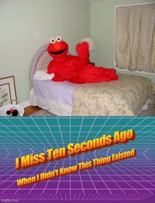 And this was the moment that everyone who watches sesame street stopped | image tagged in i miss ten seconds ago,memes,elmo,my eyes,cursed image | made w/ Imgflip meme maker