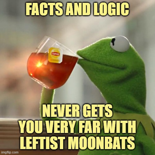But That's None Of My Business Meme | FACTS AND LOGIC NEVER GETS YOU VERY FAR WITH LEFTIST MOONBATS | image tagged in memes,but that's none of my business,kermit the frog | made w/ Imgflip meme maker