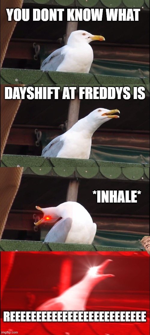 ERROR | YOU DONT KNOW WHAT; DAYSHIFT AT FREDDYS IS; *INHALE*; REEEEEEEEEEEEEEEEEEEEEEEEEE | image tagged in memes,inhaling seagull,dsaf | made w/ Imgflip meme maker