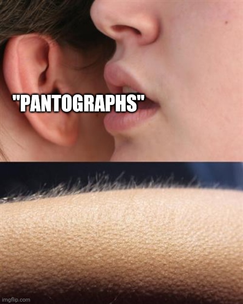 Whisper goose bumps | "PANTOGRAPHS" | image tagged in whisper goose bumps | made w/ Imgflip meme maker