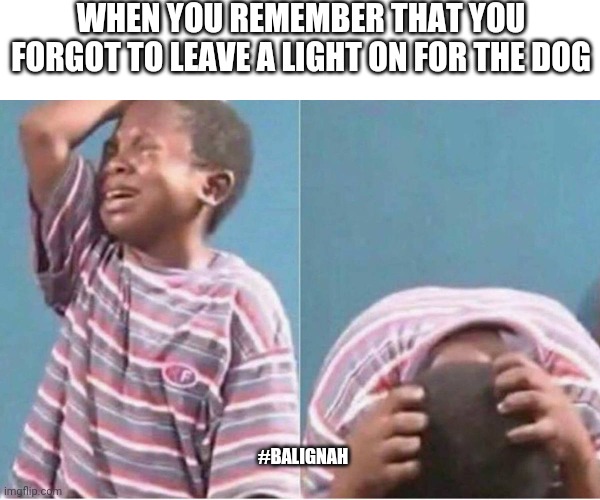 Jesus h. Christ why | WHEN YOU REMEMBER THAT YOU FORGOT TO LEAVE A LIGHT ON FOR THE DOG; #BALIGNAH | image tagged in crying kid,original meme,funny | made w/ Imgflip meme maker